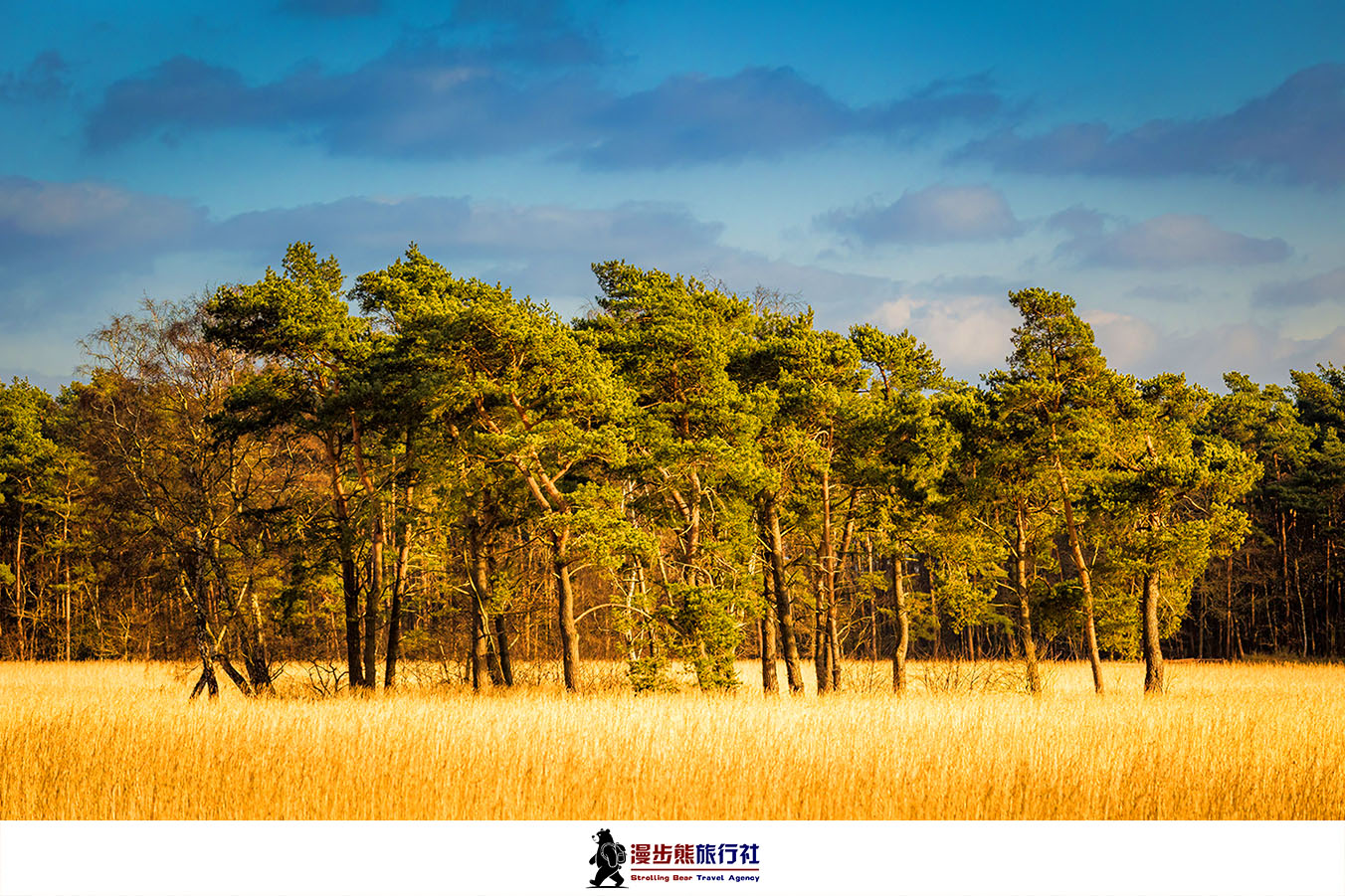 国内宝藏旅行地漫游清